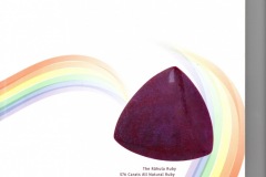 Rare Deep Red Velvet Color 576 Carat, The Rahula Ruby with Special design cut by, Steven Zale