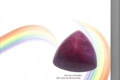 Very Rare Deep Velvet Red Color 585 Carat, "The Tear of Buddha" Ruby.  Special design cut by Steven Zale
