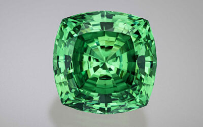 Record Setting 116 carat Tsavorite Unveiled at Smithsonian